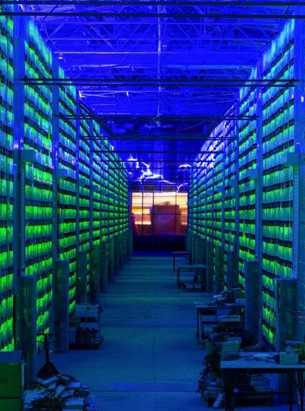 Power Generators in Crypto Mining